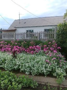 Продам дом в шортондах