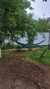 Сдам дачу в аренду