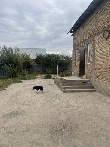 Басқа да вариант болса қарастырамыз.