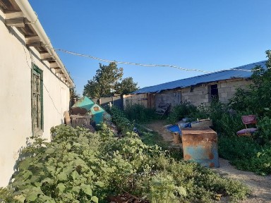 Сдам дом в Домбралы 3 комната