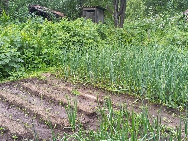 Алматинская область, Текели