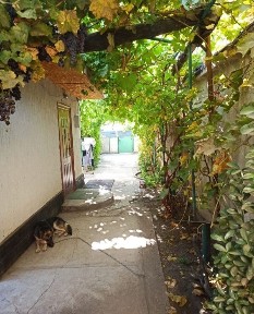 Продаётся частный дом!