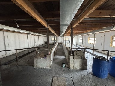 Жамбылская область, им. Балуана Шолака