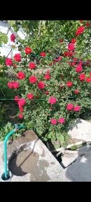 Туркестанская область, Туркестан