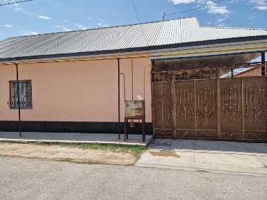 Туркестанская область, Сауран