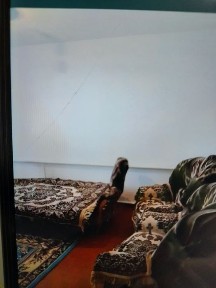 Акмолинская область, Астана, Алматинский район