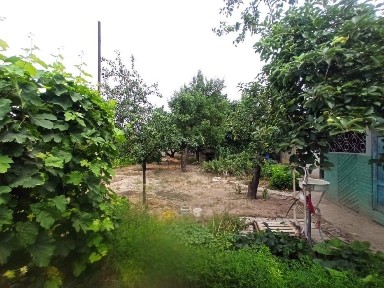 Продам дом 7 комнат