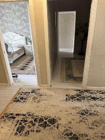 Туркестанская область, Сауран