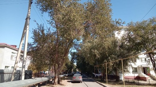 Атырауская область, Атырау, Авангард