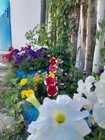 Сдам летний домик