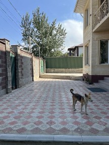 Алматинская область, Алматы, Алмалинский район