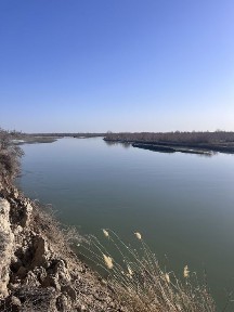 Дом с магазином в поселке Ушжарма