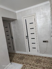 Жамбылская область, Тараз, Дорожник