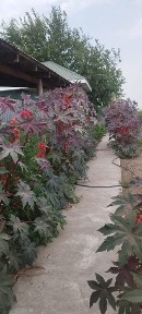 Отдельной дом. 5 комнат. 62 м². 10 соток