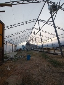 Теплица для выгонки тюльпана