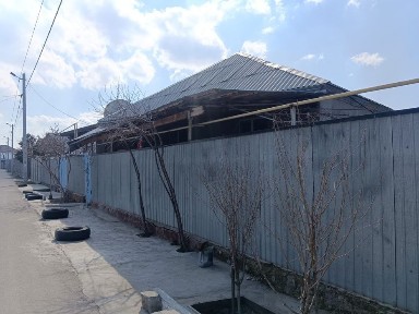 Жамбылская область, Болтирик шешен