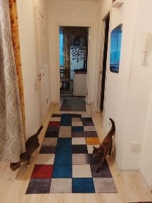 Продам 2х комнатную квартиру