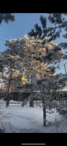 Акмолинская область, Бурабай