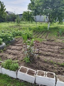 Продам дом срочно