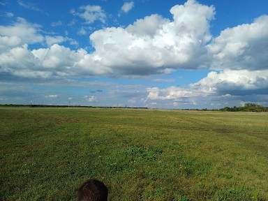 Акмолинская область, Астана, Алматинский район