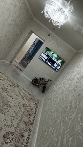 Актюбинская область, Алга