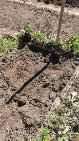 Продам дом в Актасе