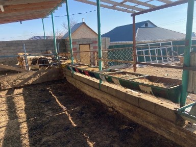 Фазенда. Кора сатылады. Времянка. Пристройка