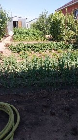 Западно-Казахстанская область, Мичуринское