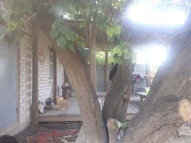 Срочно продется Дача в районе Сабалак