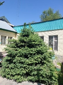 Алматинская область, Уштобе