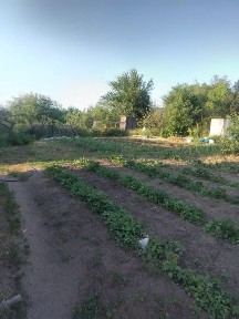 Костанайская область, Тобол