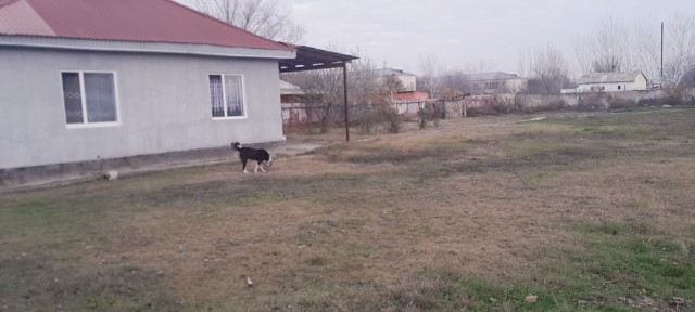 Продам дом срочно