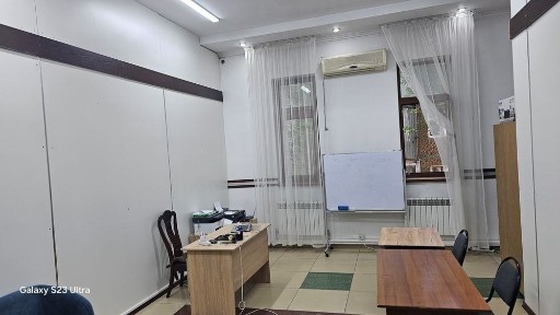 Туркестанская область, Сауран