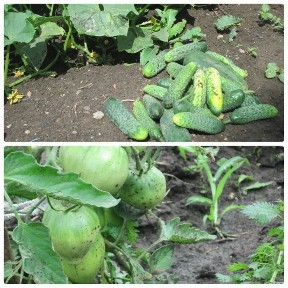 Карагандинская область, Темиртау