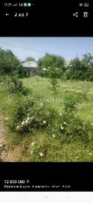 Кайнар булак дача