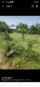 Кайнар булак дача