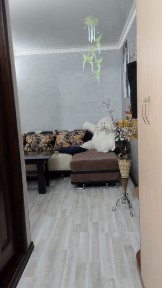 Туркестанская область, Шымкент, Туран