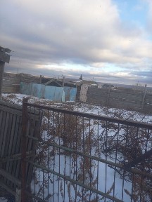 Акмолинская область, Березняковка