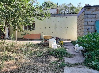 Сдам дом в пригороде в районе Экспо перекресток Кабанбай