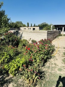 Продаем дом срочно