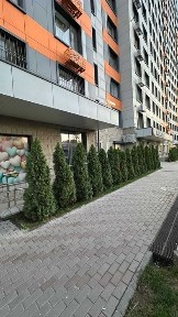 Коммерческое помещение под любой вид Вашей деятельности