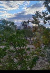 Сдам в аренду на длительный срок