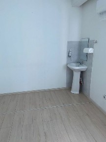 Туркестанская область, Сауран