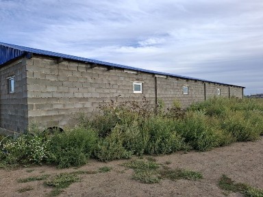 Акмолинская область, Кокшетау, Первая аптека