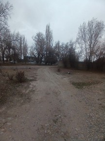 Дом ровныи массиев коктем45