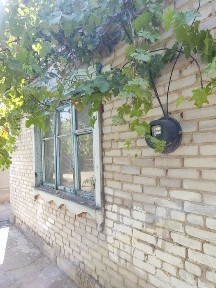 Продам дом массив Родничек