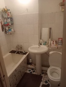 Жамбылская область, Болтирик шешен