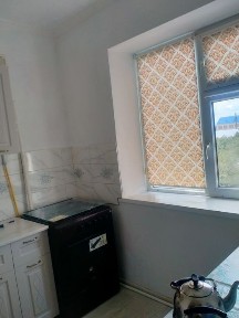 Актюбинская область, Актобе, Акация