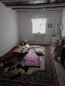 Кызылординская область, Кызылорда