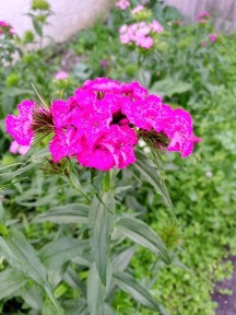 Продаю дом в селе Вознесенка ул. Брусиловского 73